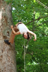 2 dans l arbre 005 * 6000 x 4000 * (8.7MB)